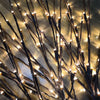 Willow Twig Lights