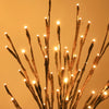 Willow Twig Lights